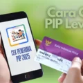 cara cek pip lewat hp